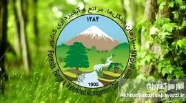 احتمال ناپدید شدن ۱۱۵ میلیارد ریال کارت هدیه در سازمان جنگل‌ها و مراتع کشور