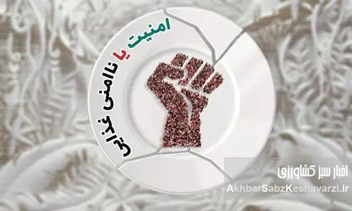 ناامنی غذایی در ایران؛ زنگ خطری بر سر سفره مردم: تحلیلی بر آمار فقر و کاهش مصرف