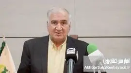 نسل سوم ارگانیک؛ گذار از تولید سالم به حکمرانی هوشمند غذا