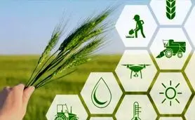 صندوق‌های حمایتی نمونه عینی تحقق شعار سرمایه‌گذاری برای تولید در کشاورزی
