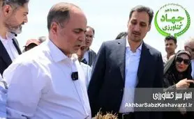 وزیر جهاد کشاورزی از سفر به جیرفت به دلیل احتمال اعتراض کشاورزان منصرف شد