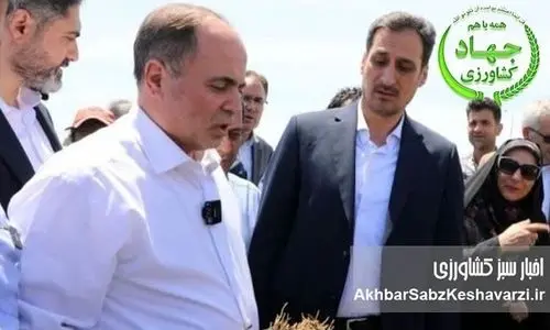 وزیر جهاد کشاورزی از سفر به جیرفت به دلیل احتمال اعتراض کشاورزان منصرف شد