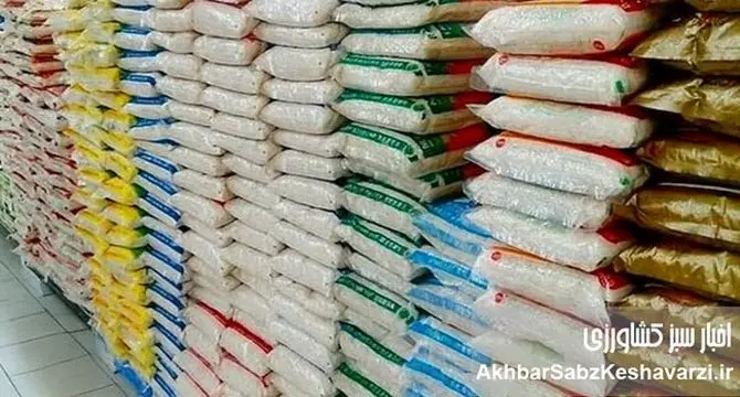 برنج وارداتی روی موج نوسانات ارز؛ قیمت‌ها هر روز تغییر می‌کند
