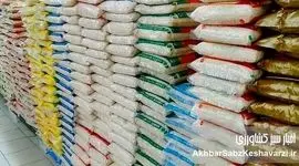 برنج وارداتی روی موج نوسانات ارز؛ قیمت‌ها هر روز تغییر می‌کند