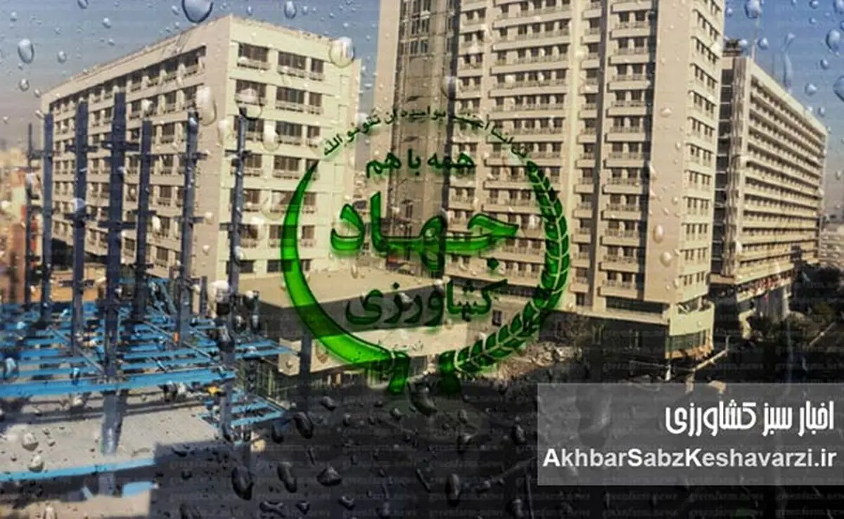 رسوایی بزرگ در وزارتخانه: مدیر امنیت غذایی محکوم اقتصادی بر مسند قدرت ماند!