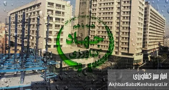 رسوایی بزرگ در وزارتخانه: مدیر امنیت غذایی محکوم اقتصادی بر مسند قدرت ماند!