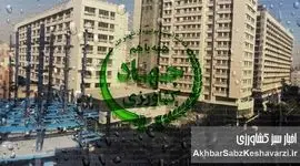 رسوایی بزرگ در وزارتخانه: مدیر امنیت غذایی محکوم اقتصادی بر مسند قدرت ماند!