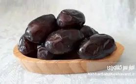 چرا خرما دوست روده است؟ نقش شگفت‌انگیز خرما در گوارش