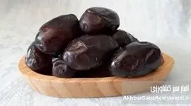 چرا خرما دوست روده است؟ نقش شگفت‌انگیز خرما در گوارش