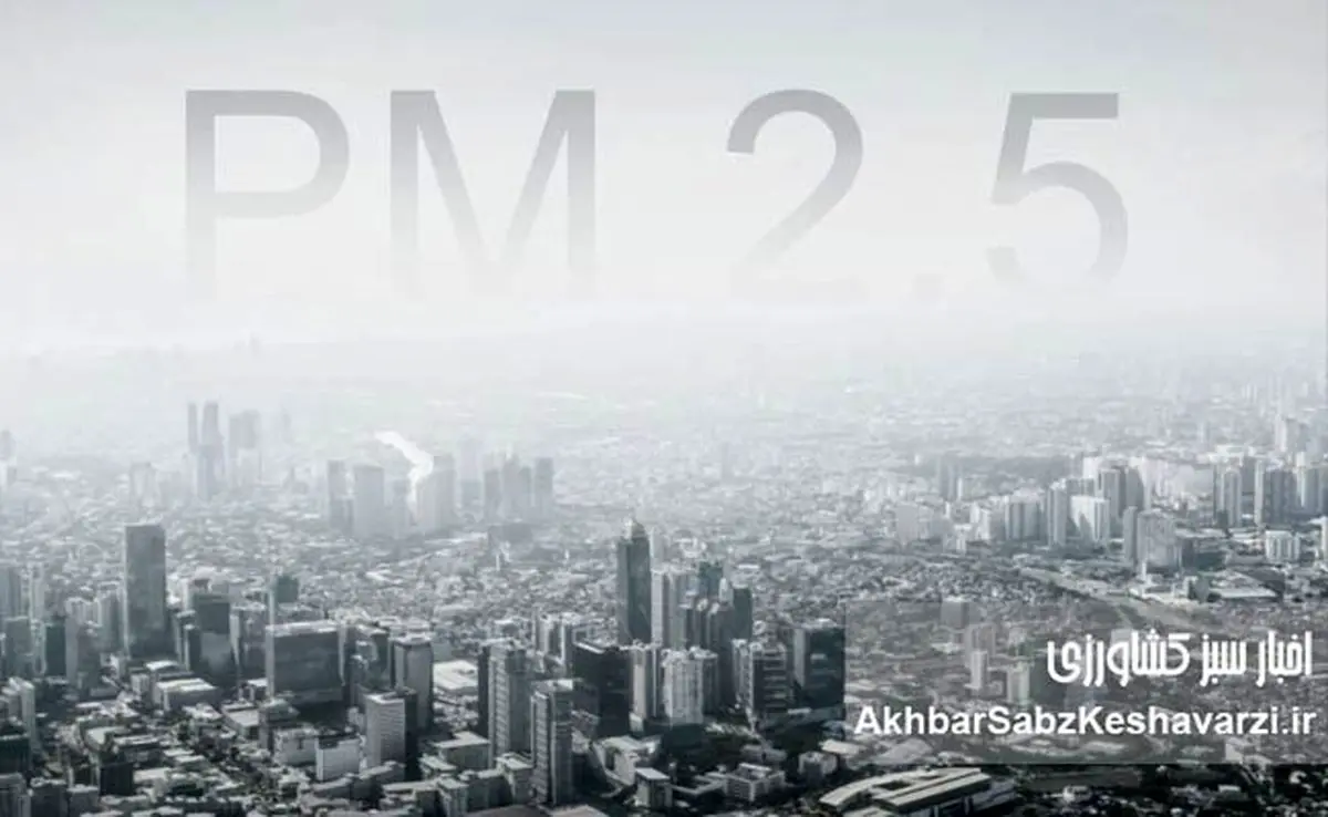 قاتل خاموش آلودگی هوا؛ دقیقاً چه عاملی جان انسان‌ها را می‌گیرد؟