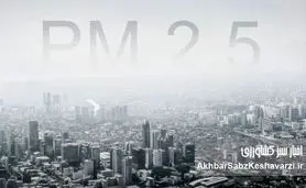 قاتل خاموش آلودگی هوا؛ دقیقاً چه عاملی جان انسان‌ها را می‌گیرد؟