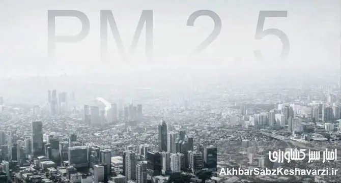 قاتل خاموش آلودگی هوا؛ دقیقاً چه عاملی جان انسان‌ها را می‌گیرد؟