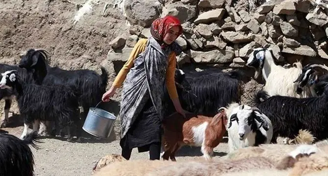 رنج و حقوق نابرابر، سهم زنان روستایی ایران

