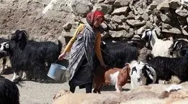 رنج و حقوق نابرابر، سهم زنان روستایی ایران

