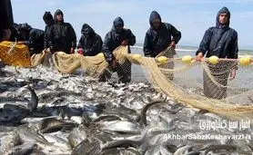 چرا مدیریت پایدار منابع دریایی دیگر یک انتخاب نیست؟