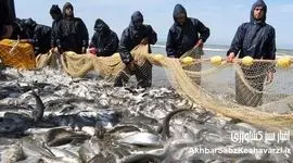 چرا مدیریت پایدار منابع دریایی دیگر یک انتخاب نیست؟