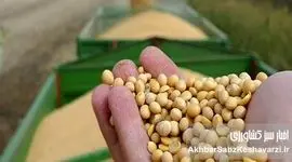 آژیر برای علاج واقعه قبل از وقوع؛ کمبود نهاده‌های کشاورزی، تهدیدی برای امنیت غذایی