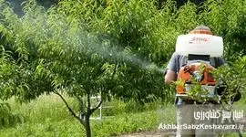 مدیرعامل شرکت بیتا بذرافشان آسیا: انحصار واردات سم، کشاورزی را به زانو درآورده است