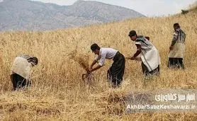 اخبار امیدبخش کشاورزی خراسان رضوی: تحولات نویدبخش در هفته‌ای که گذشت