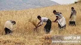 اخبار امیدبخش کشاورزی خراسان رضوی: تحولات نویدبخش در هفته‌ای که گذشت