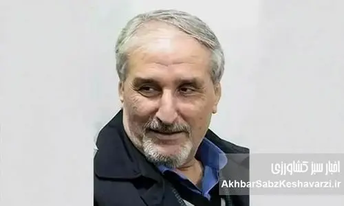 چرا این‌قدر زود دیر شد!؟