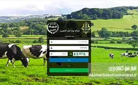 چرا بازارگاه نهاده‌ها نیازمند نقشه راه منظومه‌ای و هوشمند است؟