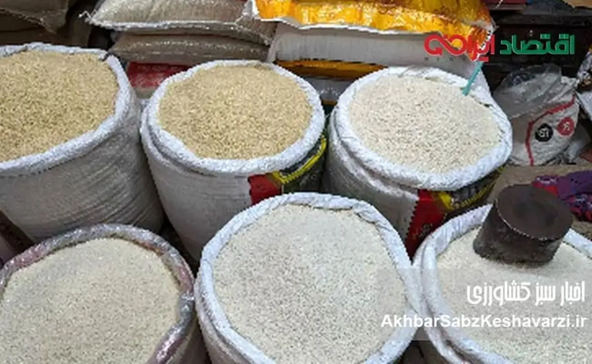  گرانی افسارگسیخته برنج ایرانی؛ از مافیای بازار تا تعطیلی واردات پاکستانی