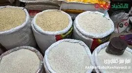  گرانی افسارگسیخته برنج ایرانی؛ از مافیای بازار تا تعطیلی واردات پاکستانی