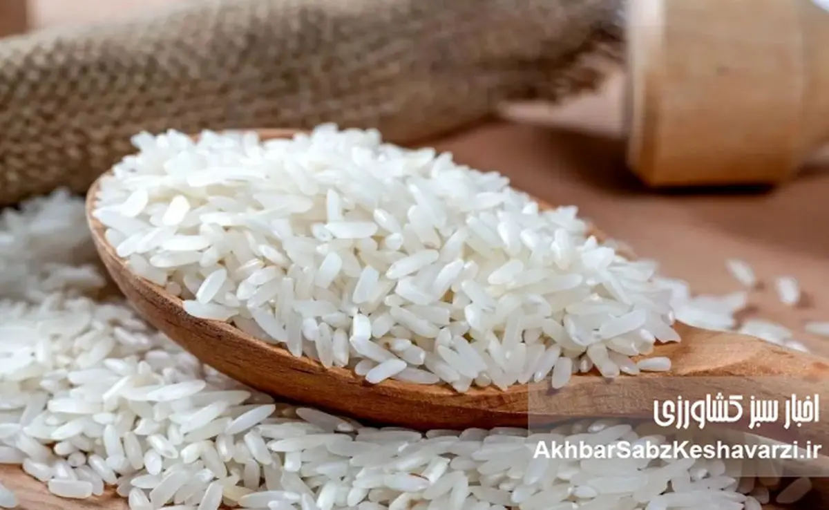 برنجی که ارزان وارد شد ولی گران توزیع شد؛ دولت پاسخ می‌دهد یا بازار؟