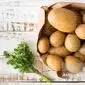 سیب‌زمینی؛ گنج پنهان خاک: کدام نوع، برای چه غذایی؟