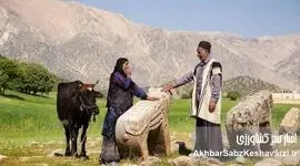 روستاییان و عشایر؛ پیشرانان اصلی توسعه اقتصادی کشور در روز ملی روستا و عشایر