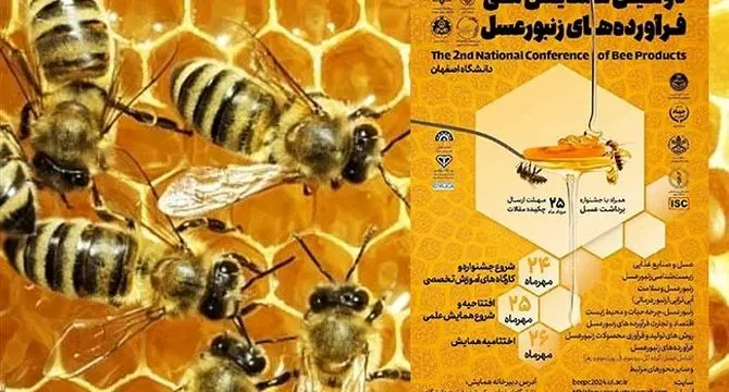 فراخوان مقاله دومین همایش ملی فرآورده‌های زنبورعسل

