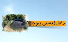 زغال زیستی بیوچار

