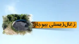 زغال زیستی بیوچار

