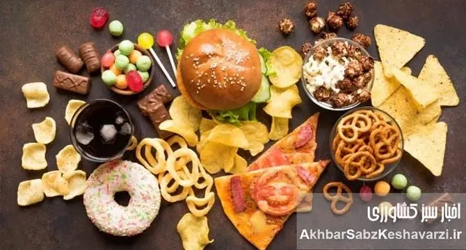 رازهای پنهان پیری: چگونه غذای فرآوری شده و پیری دست به دست هم می‌دهند؟