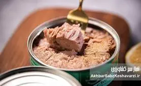آیا کنسرو ماهی شما حاوی قاتلان خاموش است؟ هشدار درباره «فلزات سنگین در کنسرو ماهی»!
