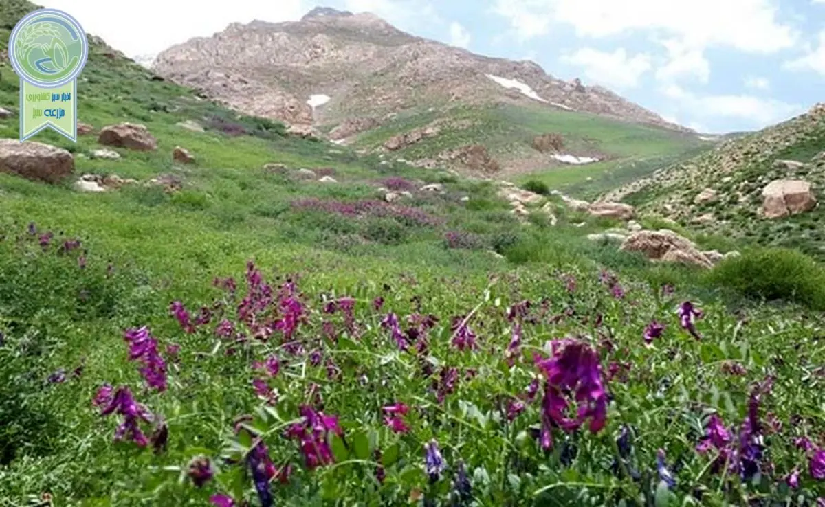 تکه‌ کردن رشته ‎کوه دنا را متوقف کنید

