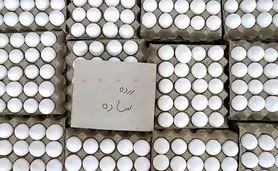 هر شانه تخم‌مرغ در بازار چند؟