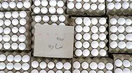 هر شانه تخم‌مرغ در بازار چند؟