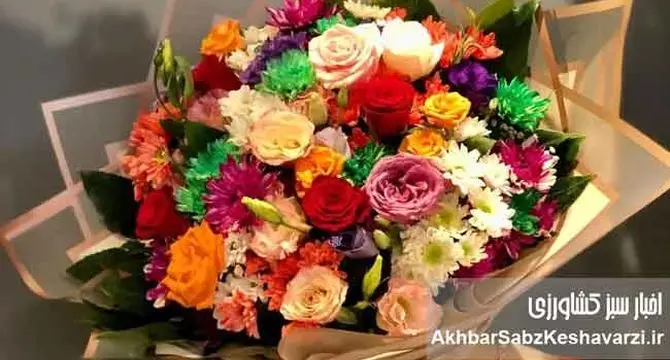 قیمت گل روز مادر نجومی شد؛ رز شاخه‌ای تا ۲۰۰ هزار تومان!