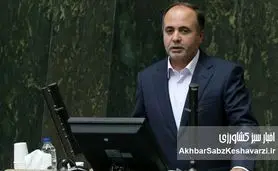  برخی نمایندگان مجلس، همدست نوری قزلجه در نابودی سفره و معیشت مردم