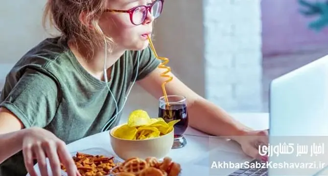 کنترل ریزه‌خواری: کلید سلامتی و تناسب اندام شما
