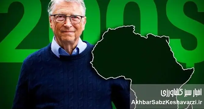 بیل گیتس: هوش مصنوعی می‌تواند انقلاب بزرگ کشاورزی را در آفریقا رقم بزن