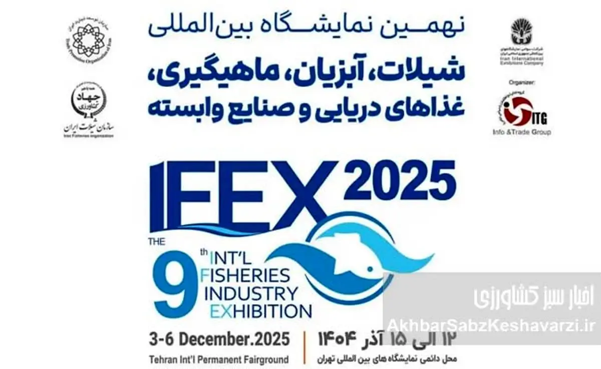 نمایشگاه شیلات ۱۴۰۴ با رشد ۱۸ درصدی شرکت‌ها و توسعه فضای نمایشگاهی، وارد دوره‌ای تازه می‌شود