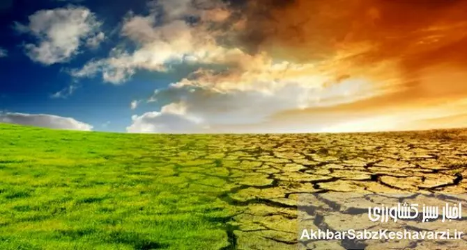 هشدار کارشناسان: بدون تحول اقتصادی در کشاورزی، امنیت غذایی ایران در خطر است