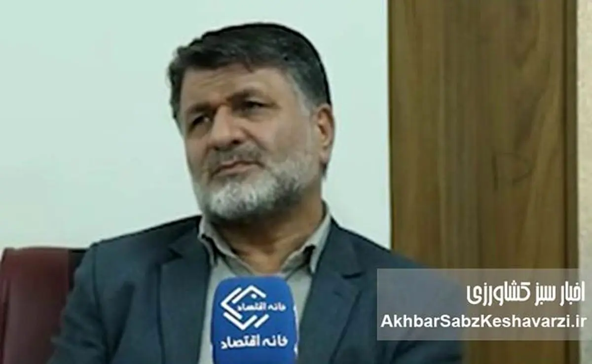 چرا ذرت ۱۱ هزار تومانی، ۳۰ هزار تومان به دست مرغدار می‌رسد؟/ افشاگری صریح از بی‌کفایتی وزارت جهاد کشاورزی+ ویدئو