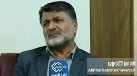 چرا ذرت ۱۱ هزار تومانی، ۳۰ هزار تومان به دست مرغدار می‌رسد؟/ افشاگری صریح از بی‌کفایتی وزارت جهاد کشاورزی+ ویدئو