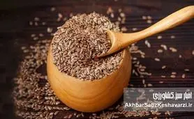 تخم کتان؛ راز سلامتی در یک دانه کوچک