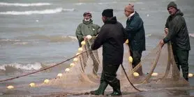 پایان فصل صید ماهیان استخوانی در دریای خزر

