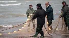 پایان فصل صید ماهیان استخوانی در دریای خزر

